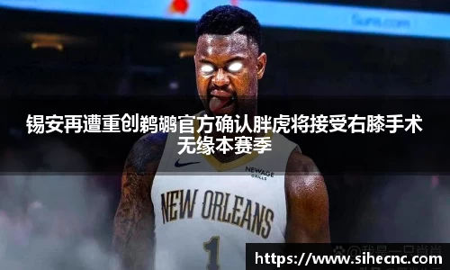 锡安再遭重创鹈鹕官方确认胖虎将接受右膝手术无缘本赛季