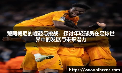 米兰官网